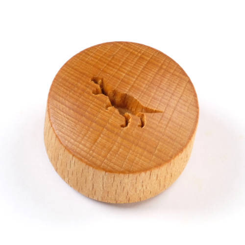 CT-042 Curve Top Stamp - T-Rex Dinosaur